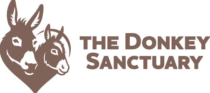 donkey-sanctuary-horiz